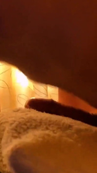 Rubbing Dick on Pillow Like Doggy Style /solo