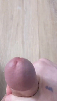Close-up Em Primeiro Plano