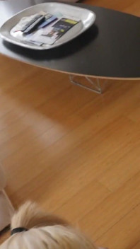 Piękna blondynka Stepis bierze głębokie kutasy