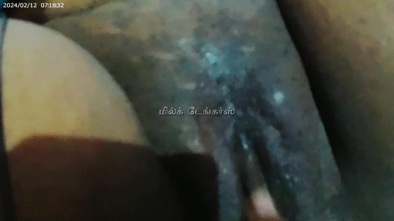 Milktankers: Стосунки з сусідом 3