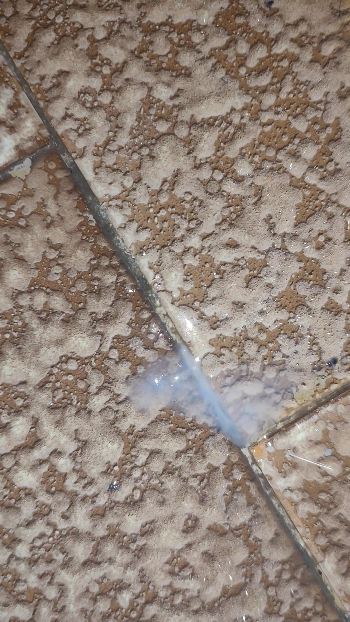 MartyBrady: Retro Twink Boy hraje kundičku