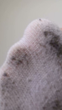 ¿Quién tiene los calcetines más apestosas?