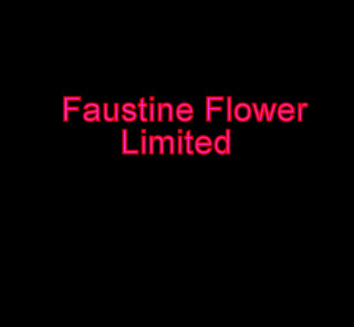Faustine: Il travestito fetish Faustine in tacchi alti corti in vinile