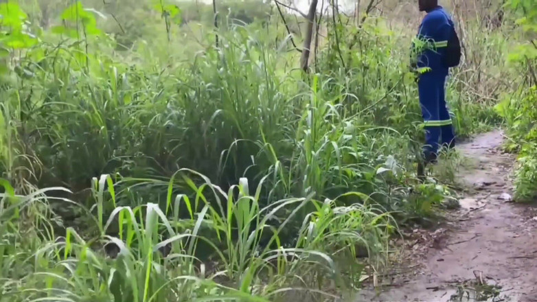 TheBlacKHunterr: Arbetaren gick förbi parken och fick en