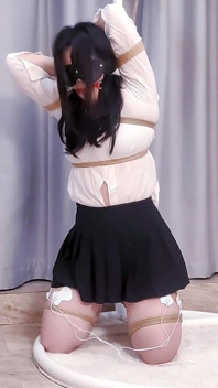 전기 충격 채찍질