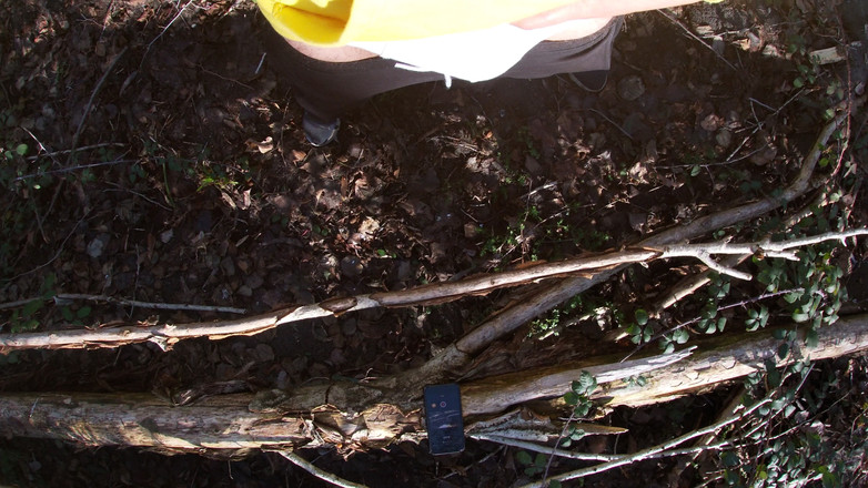 Hardnoisex: L'atletico sudato si masturba nella foresta mentre parla sporco - peloso,...