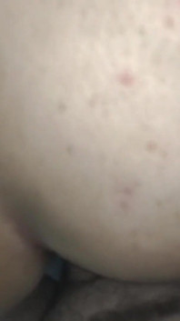 3069633