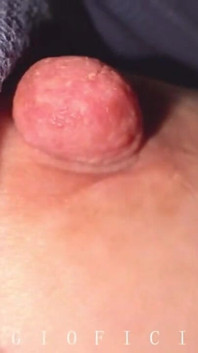 Anal Fuck - Anal Close up Compilation with My GF and My Doll