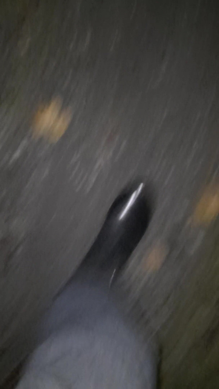 SinDee: Rubberboots walking