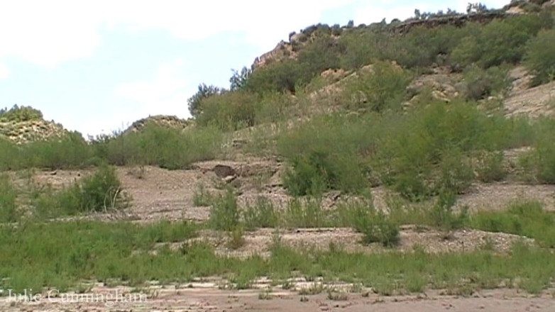 Julie Cunningham: První relace Julie Cunningham s bahenní děvkou - už kape jako...