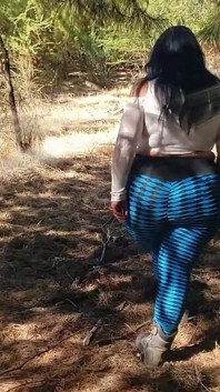 Walking Forest - Video for Fans with Slowmotion