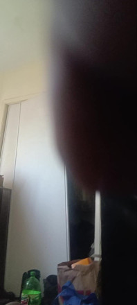 Hello Hello Dick