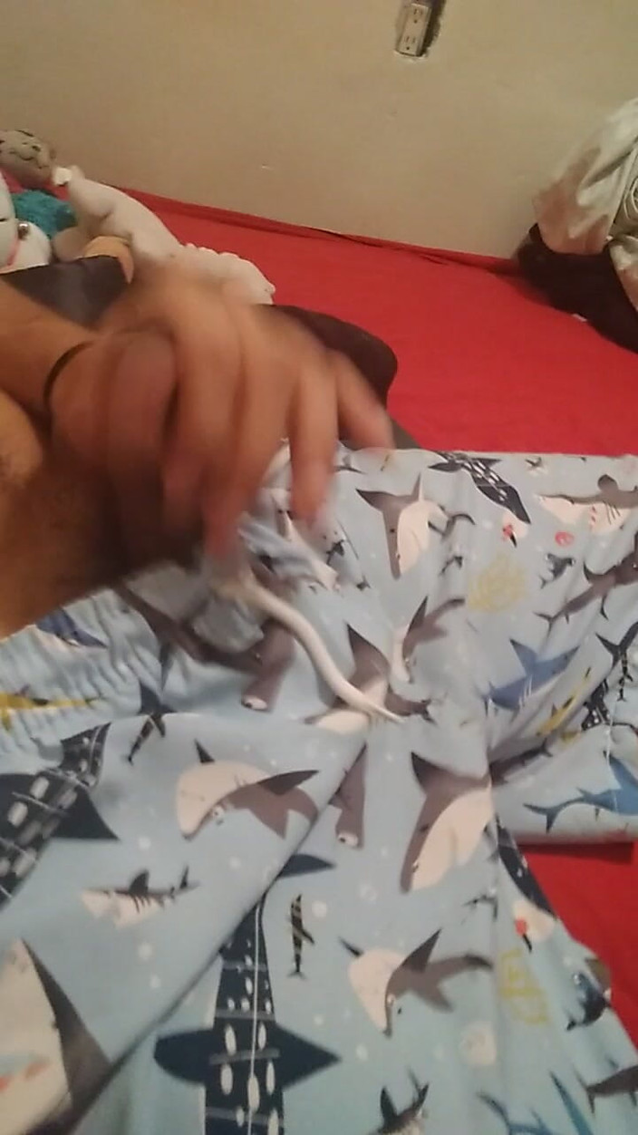 AlexAlejandro13: A Natural Warm-up, the Tip of My Cock Is Noticeable
