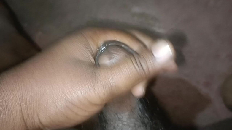 LegalVector8: India panas