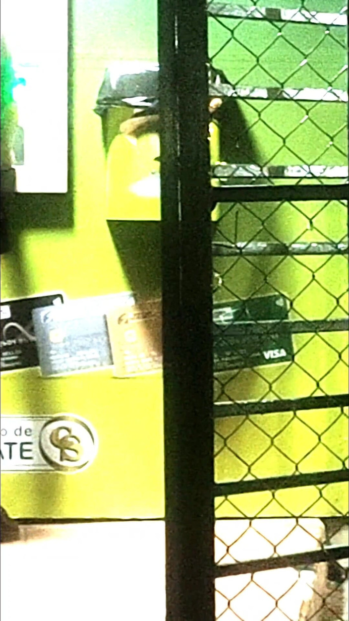 En la calle: Tôi có một cái mông đẹp