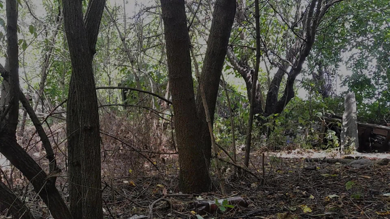 Sweet beauty: Beautiful brunette pees in nature