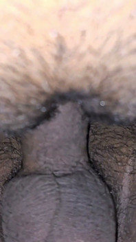 I Fuck My Step Sister in Doggy Style