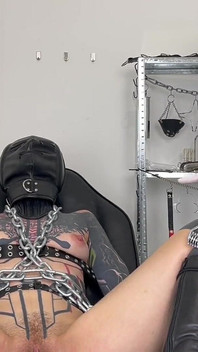 Mikser Vida'nın ortalama tıbbi muayenesi