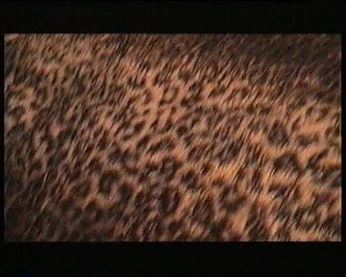 Dirty old moviez: 不要看这个复古熟女做爱