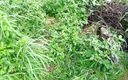 Xhamster stroks: Pacar kafia kencing di rumput hijau