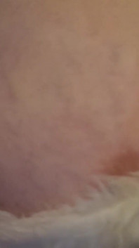 Bayan Santa büyük göğüslerini gösteren seksi striptiz yapıyor