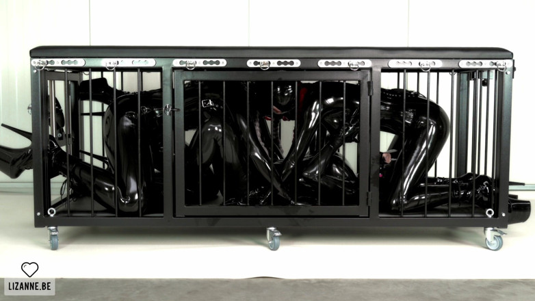 Lizanne: The Cage
