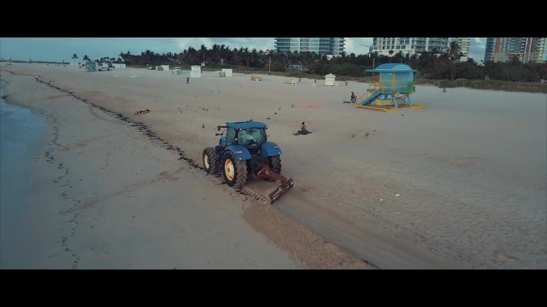 Piper Blush: サウスビーチ観光