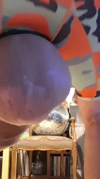 怪物杆和公牛球