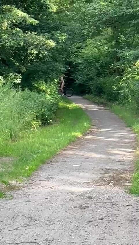 Benb Studio: Гола на гоночному велосипеді