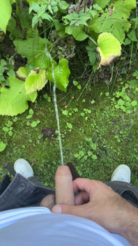 Golden Stream: Peeing in Paradise
