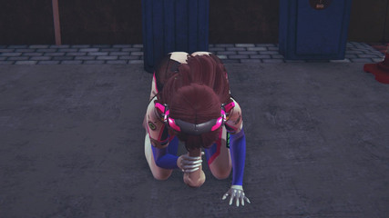 Waifu club 3D: DVA a supt public un fan