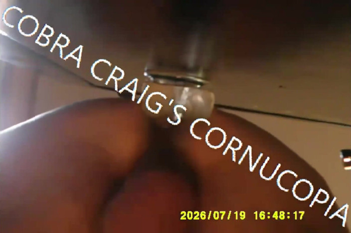 COBRA CRAIG: 8-20-2026 Compilation 3 Cobra Craig Toys Toys Toys and That Damn...