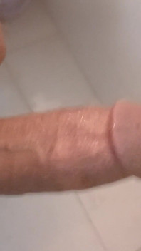Moroccan Zeb