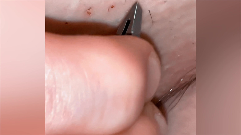 SatisfyingDillyDally: Zufriedenes zieht