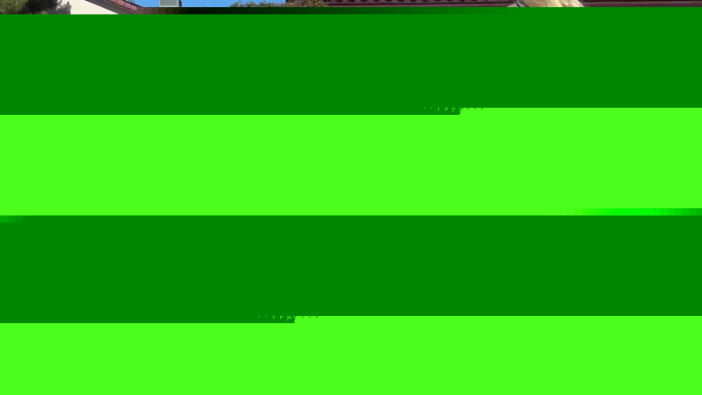 Ecko Belle: 6 Fit holky se straps! Chlapík