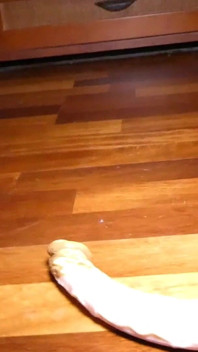 Voglio che mi scopi selvaggiamente