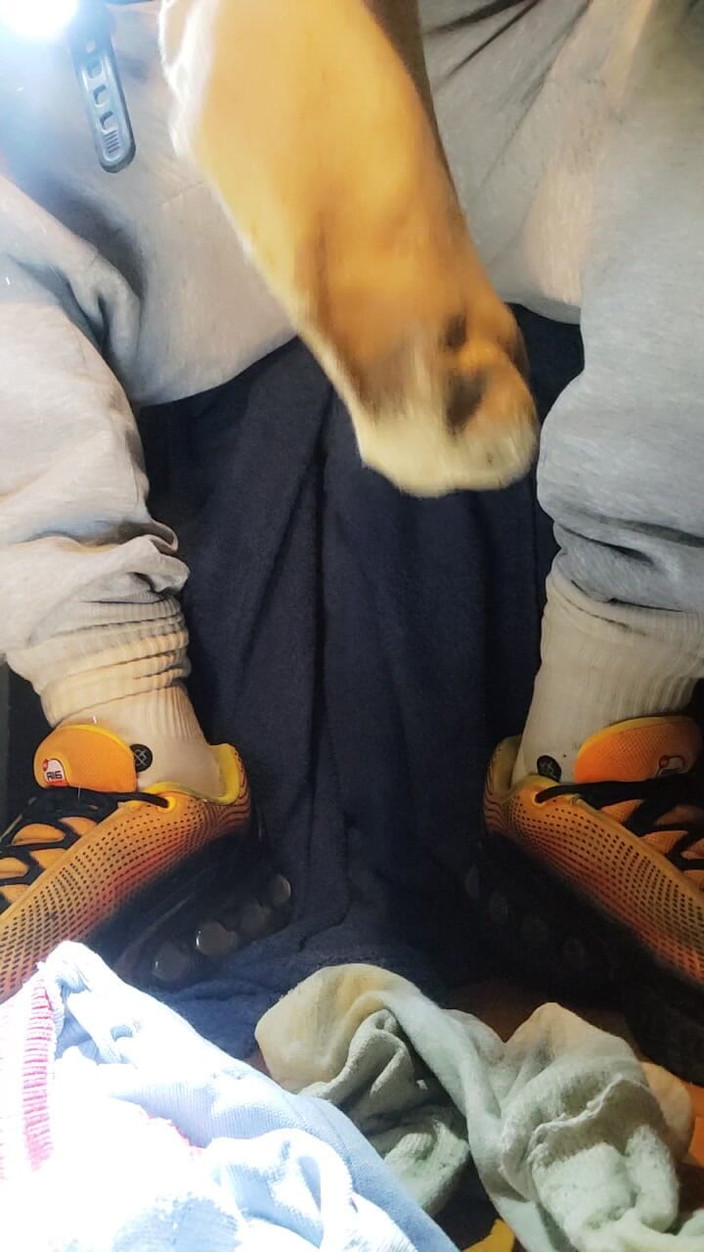 SmokedAlloy2: Dj-bro piss a hry se špinavé ponožky.... Zatloukejte na to!