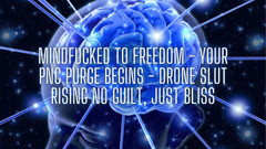 Goddess Misha Goldy: Mindfucked to Freedom - Your Pnc Purge Begins - Drone Slut Rising...