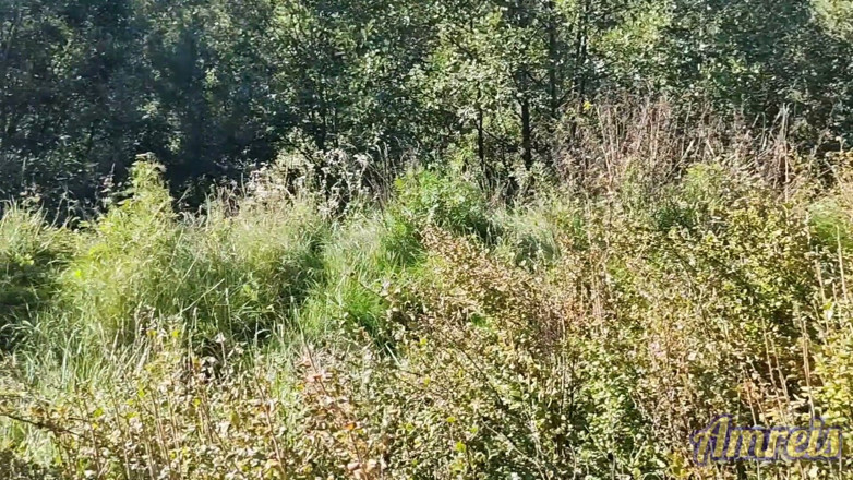 Amreis: dans les bois près de l’autoroute. J’ai failli me faire...