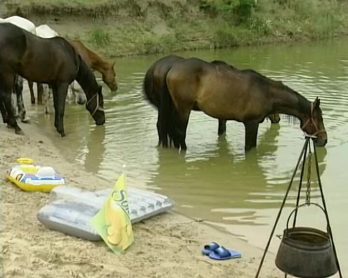 Porno Cloud: 户外撒尿