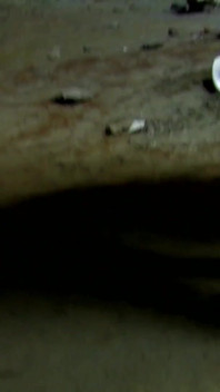 Porn Video Leo-galvezmo05