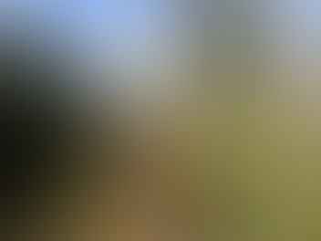 Locked due to age restriction