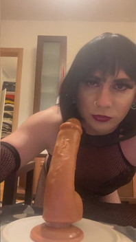 Do You Have Something Better Than This Dildo I Could Suck on