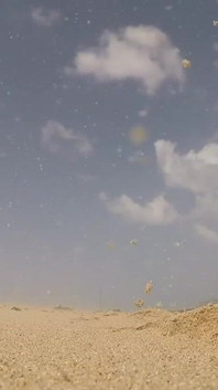 Необрізаний нудист працює з стояком на державному пляжі