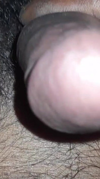 수령 1632083743