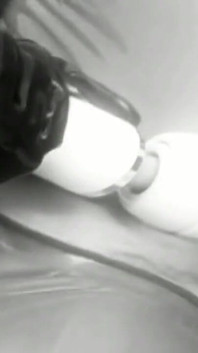 Latex Swiss Excess