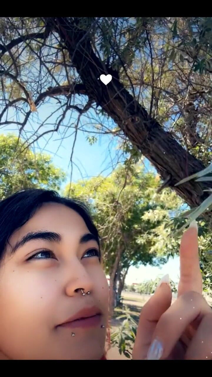 lilRavenFox: 3358123669