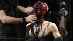 Wanheldvig: 마스크를 쓰고 발에 전기를 대고 재갈을 꽂은 Zeus