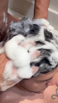 Boyfriend Cumming in My Hair and Then Washing It with Lots of Shampoo