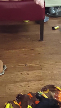 Podívejte se a poslouchejte tyto děvky stříkají jako chcaní